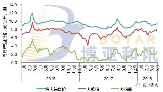 肉鸡最新报价及市场动态分析