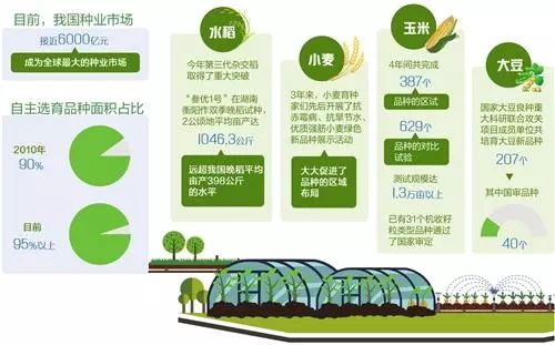 最新大豆品种，种植优势、市场前景与应用前景