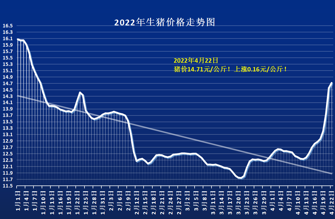 全国最新毛猪价格动态分析