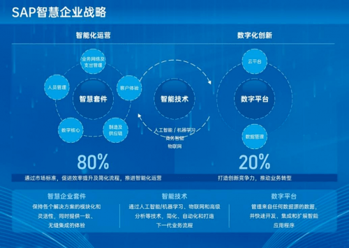 上海莱士最新公告，深化战略转型，开启企业新篇章