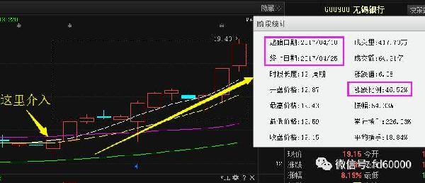 棕桐股份最新消息全面解析