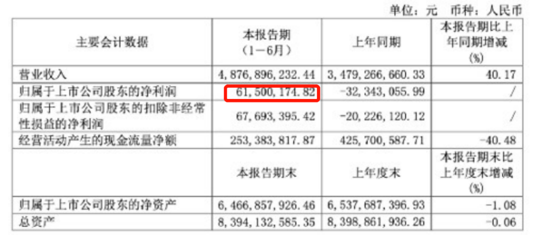 鹏欣资源最新公告，揭示企业动态与未来展望