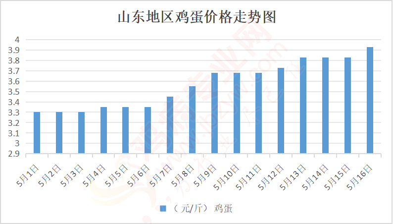 今日山东鸡蛋最新价格分析与展望