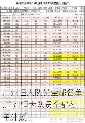 广州恒大球员最新名单解析