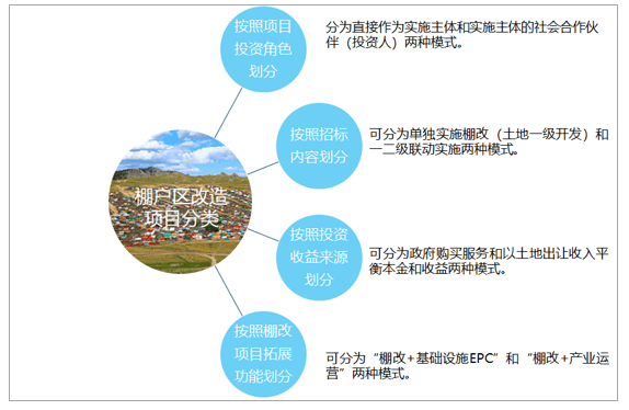 砂仁最新价格动态及市场分析