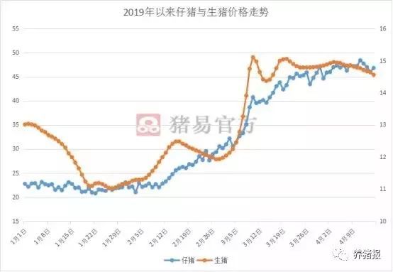 最新小猪价格行情分析